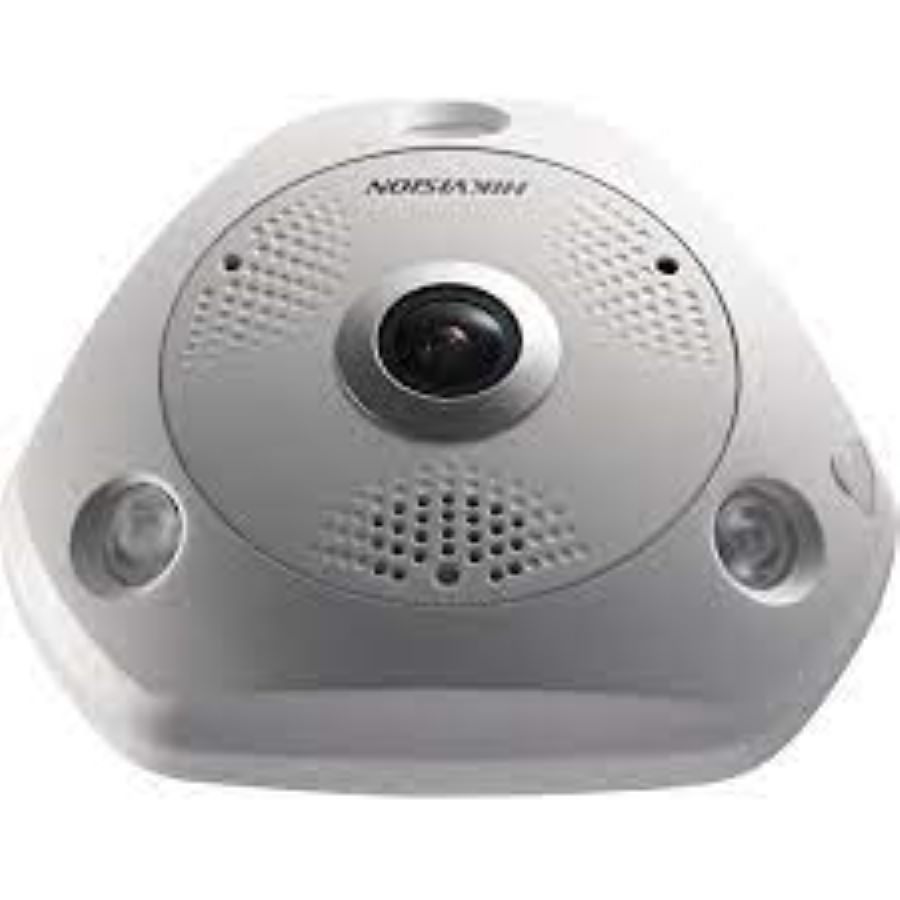 seguridad_electronica_camaras_ip_4238-2.jpg