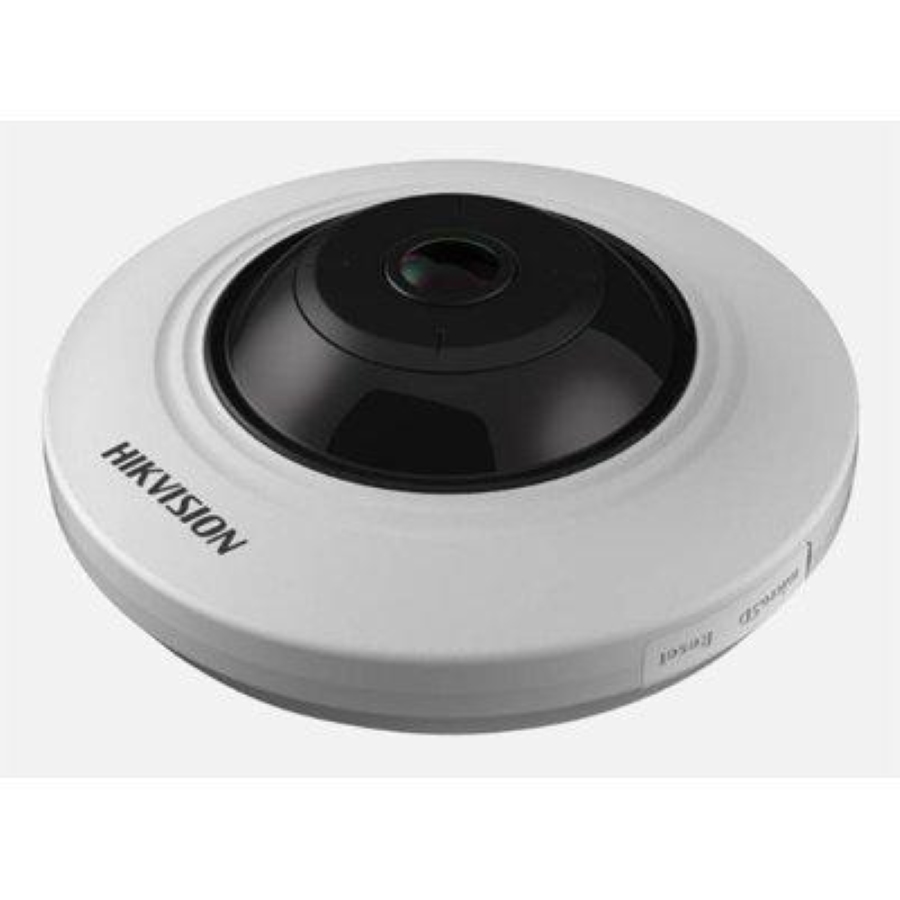 seguridad_electronica_camaras_ip_4234-2.jpg