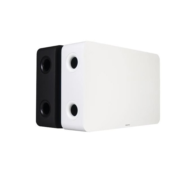 FONESTAR Altavoz Subwoofer con Transformador de Línea de 100V