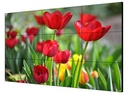 Hikvision Display LCD 55 Canales 3.5mm la Unidad