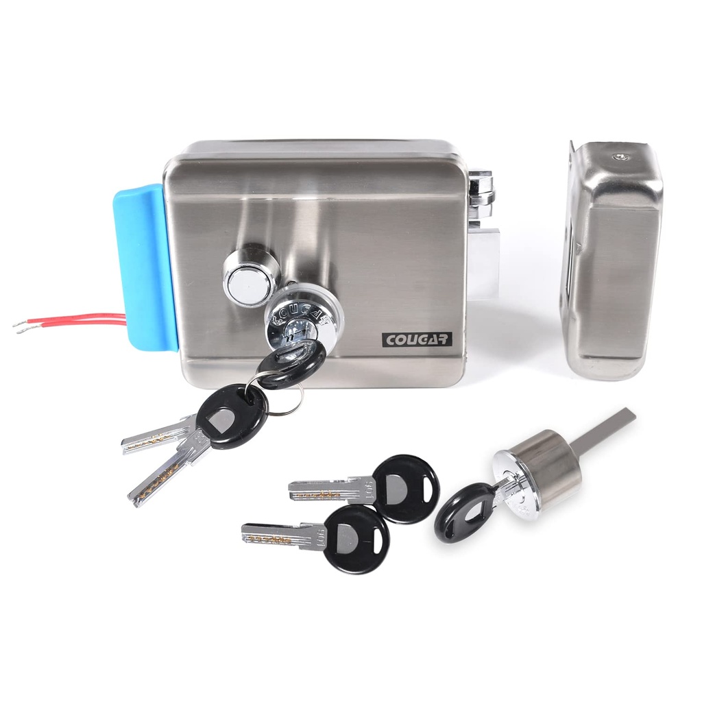 Baykus Cerradura Electrica para Puerta de Metal de 12-24V