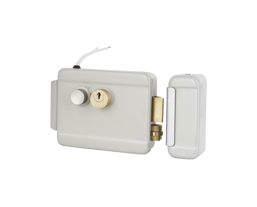 [ZDL-107G] Baykus Cerradura Eléctrica para Puerta de Metal - Gris